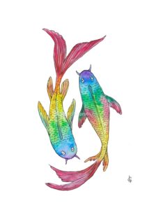Koi karpers carps regenboog rainbos fish vissen