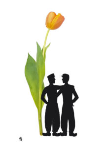 tulip gay postcard homo ansichtkaart tulp typical dutch hollands