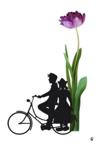 fiets tulip tulp dutch farmercouple bicycle postcard ansichtkaart typical dutch hollands
