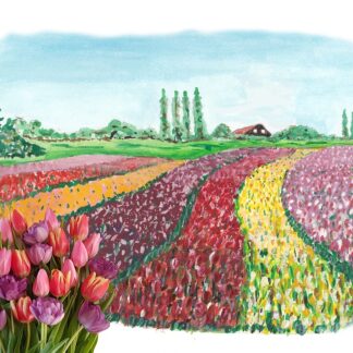 typical dutch typisch hollands tulpen tulips postcard kaart