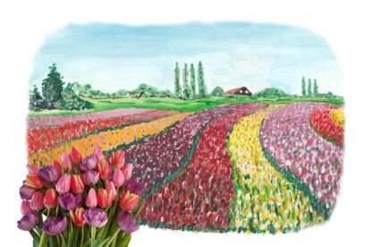 typical dutch typisch hollands tulpen tulips postcard kaart