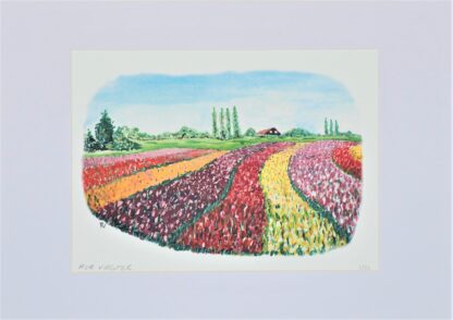 artprint kunst aquarel watercolor art landscape bollenvelden bulbfields tulp tulpen tulip tulips hollandse luchten