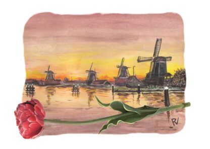 ansichtkaart postcard holland hollands nederland nederlands typisch typical dutch molen molens windmill windmills sunset sunrise zaanse schans tulp tulip water zaandam toerist