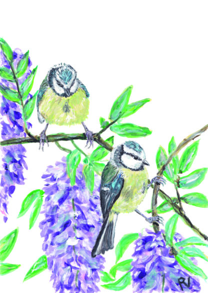 ansichtkaart postcard birds blue tit titmouse bluetit vogels vogel bird vogelkaart wisteria blauwe regen