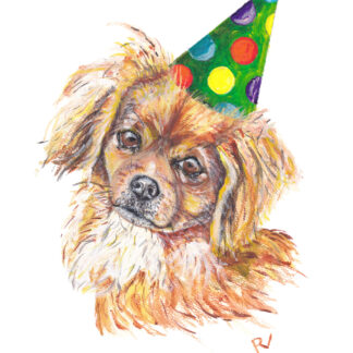 ansichtkaart postcard dog hond verjaardag happy birthday greek dog grieksse kokoni feestmuts feesthoedje partycap verjaardagskaart birthdaycard celebration