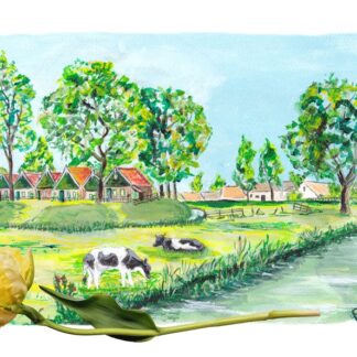 ansichtkaart postcard holland hollands nederland nederlands typisch typical Dutch zuiderzeemuseum Enkhuizen koeien cows dijk dike tourist tulp tulip water toerist