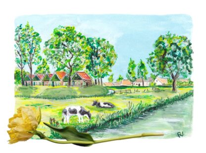 ansichtkaart postcard holland hollands nederland nederlands typisch typical Dutch zuiderzeemuseum Enkhuizen koeien cows dijk dike tourist tulp tulip water toerist