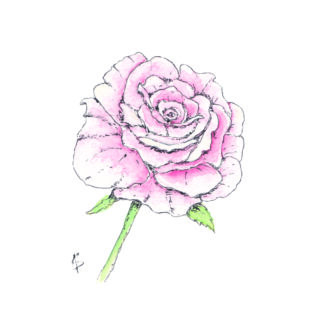 ansichtkaart postcard vegetable nice and fun drawing sweet rose roos troost comfort comforting grief verdriet troost