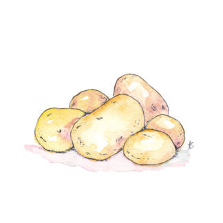 ansichtkaart postcard vegetable nice and fun drawing sweet laardappel pieper potato potatoes aardappelen piepers gefeliciteerd congratulations happy birthday verjaardag
