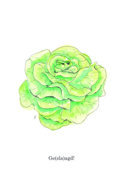 ansichtkaart postcard vegetable nice and fun drawing sla lettuce geslaagd succeeded rijbewijs diploma middelbare school gehaald