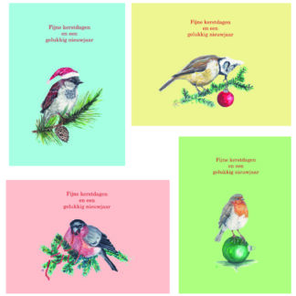 kerstmis kerst christmas xmas xmascard xmascards kerstkaart kerstkaarten christmascard christmascards birds vogels kerstvogel xmasbirds robin roodbostje kaart kaarten card cards kuifmees mus goudvink