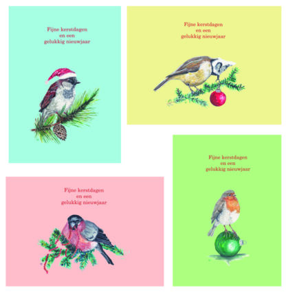 kerstmis kerst christmas xmas xmascard xmascards kerstkaart kerstkaarten christmascard christmascards birds vogels kerstvogel xmasbirds robin roodbostje kaart kaarten card cards kuifmees mus goudvink