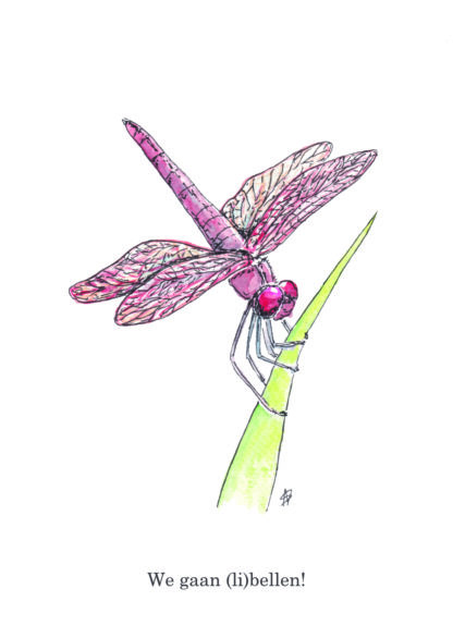 ansichtkaart postcard vegetable nice and fun drawing sweet dragonfly libelle contact bellen phone