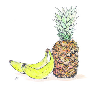 ansichtkaart postcard vegetable nice and fun drawing sweet dragonfly banana pineapple banaan ananas Let's go bananas party feesten