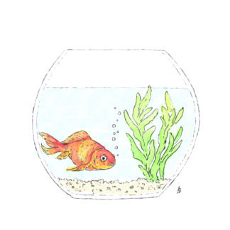 ansichtkaart postcard nice and fun drawing sweet welkom thuis welcome home goldfish goudvis fishbowl vissenkom