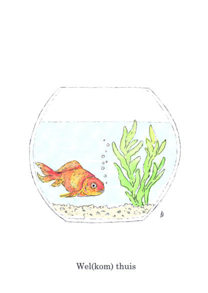 ansichtkaart postcard nice and fun drawing sweet welkom thuis welcome home goldfish goudvis fishbowl vissenkom